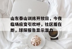 开云体育下载 -山东泰山训练开放日，今夜临场应变引欢呼，社区盾在即，球探报告显示潜力的简单介绍